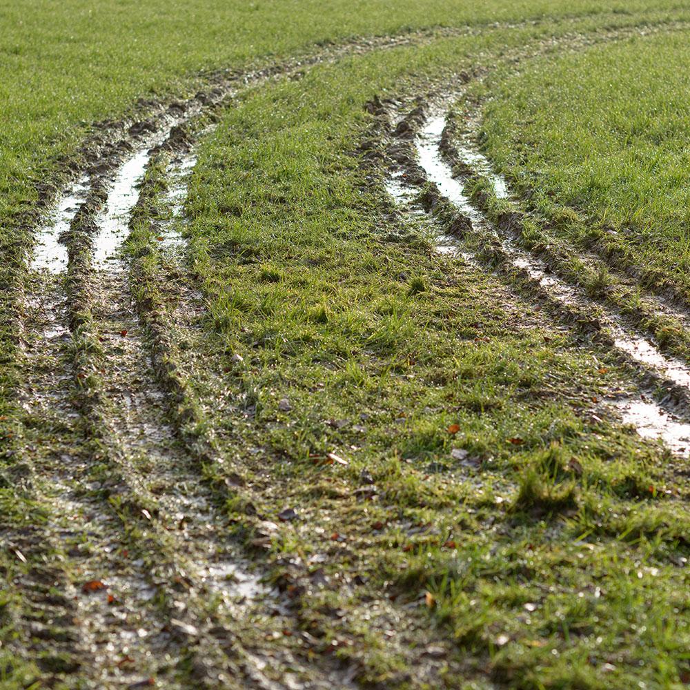 Grass terrain riding